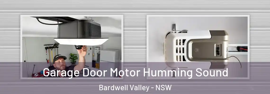 Garage Door Motor Humming Sound Bardwell Valley - NSW