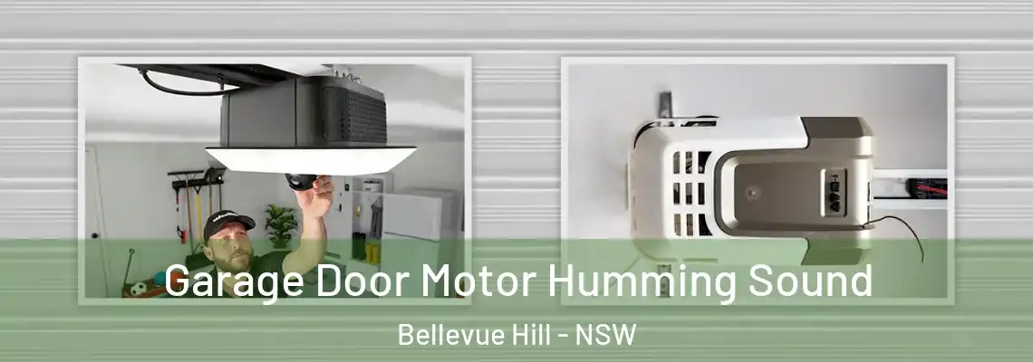 Garage Door Motor Humming Sound Bellevue Hill - NSW