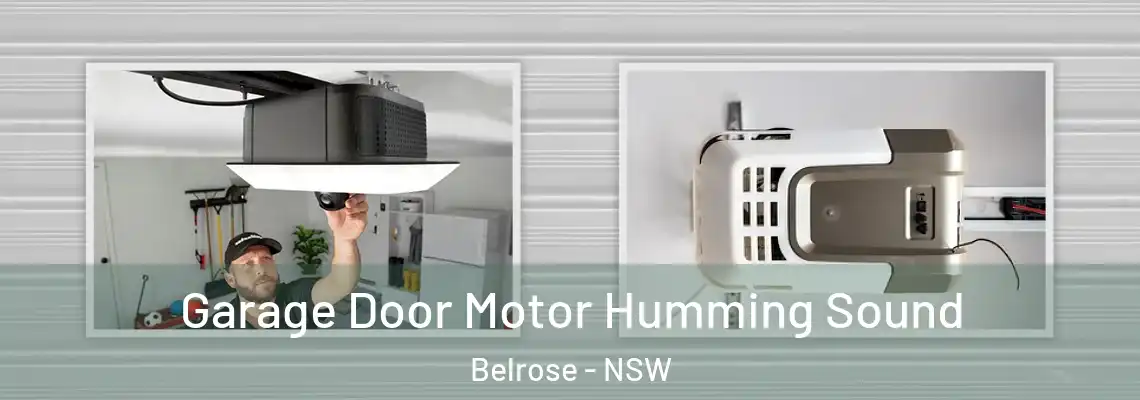Garage Door Motor Humming Sound Belrose - NSW
