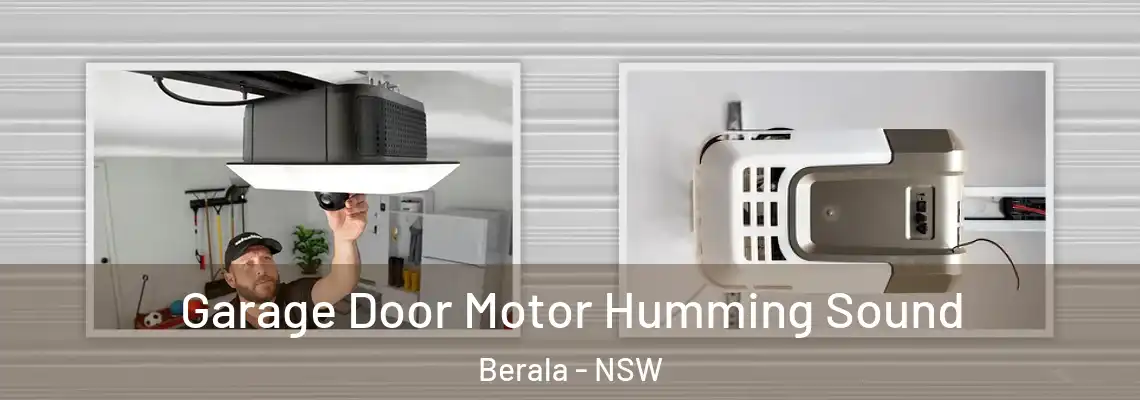 Garage Door Motor Humming Sound Berala - NSW