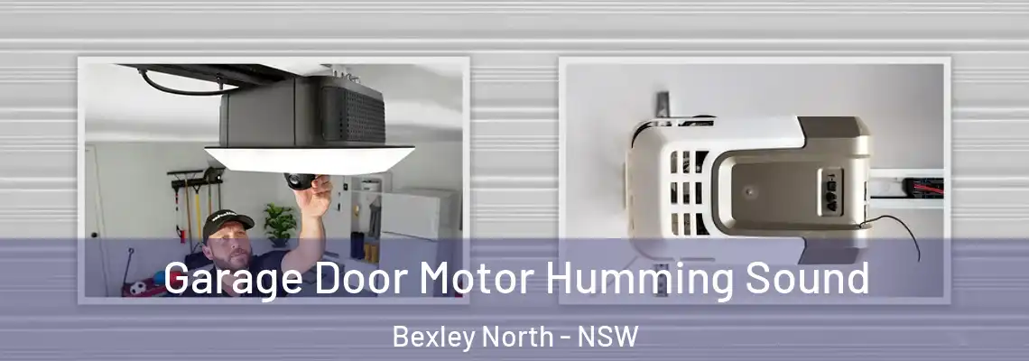 Garage Door Motor Humming Sound Bexley North - NSW