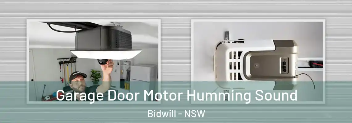 Garage Door Motor Humming Sound Bidwill - NSW