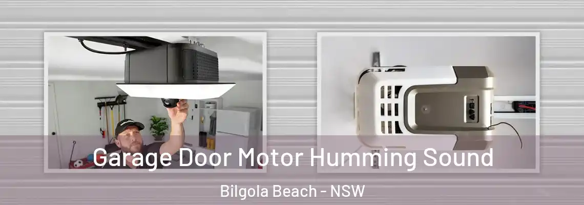 Garage Door Motor Humming Sound Bilgola Beach - NSW