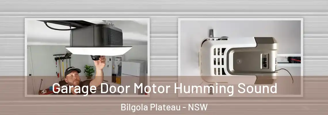Garage Door Motor Humming Sound Bilgola Plateau - NSW