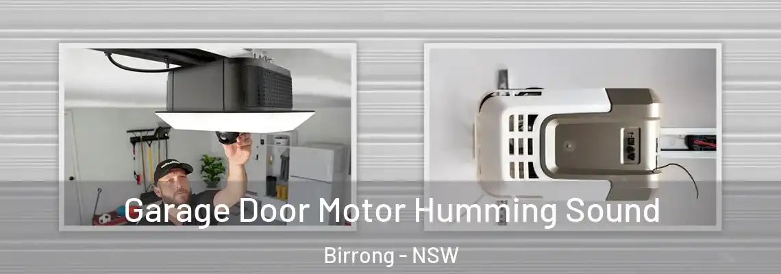 Garage Door Motor Humming Sound Birrong - NSW
