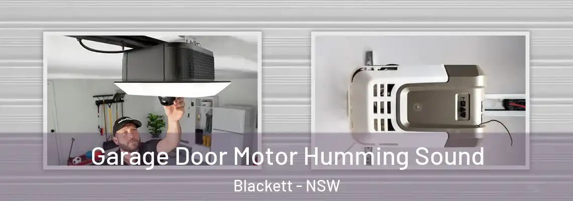 Garage Door Motor Humming Sound Blackett - NSW