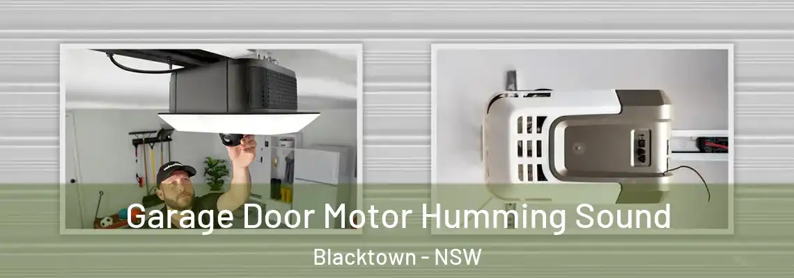 Garage Door Motor Humming Sound Blacktown - NSW