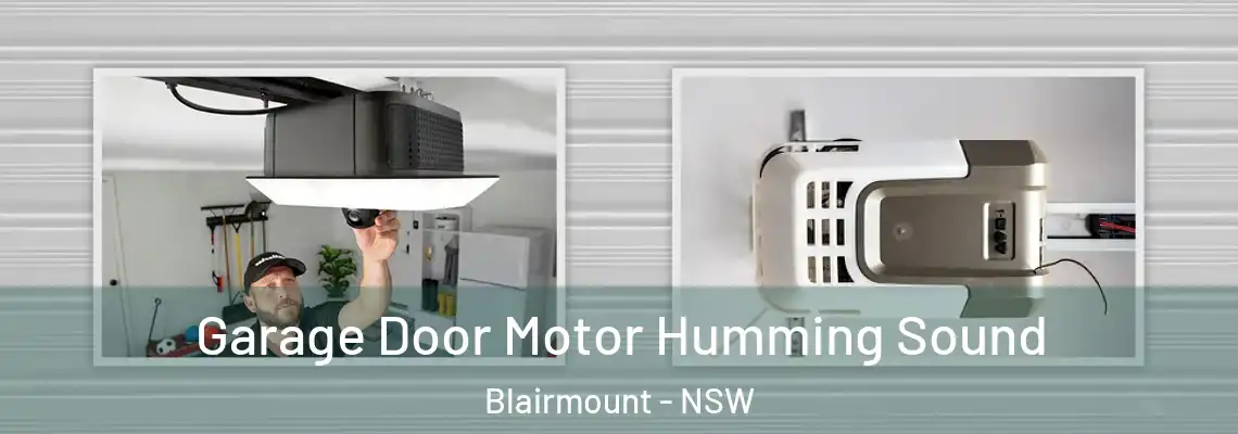 Garage Door Motor Humming Sound Blairmount - NSW