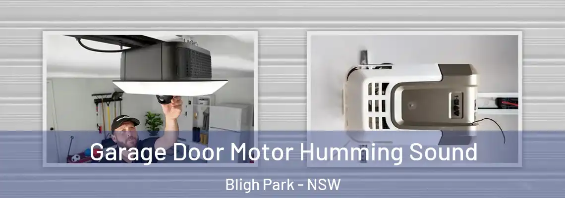 Garage Door Motor Humming Sound Bligh Park - NSW