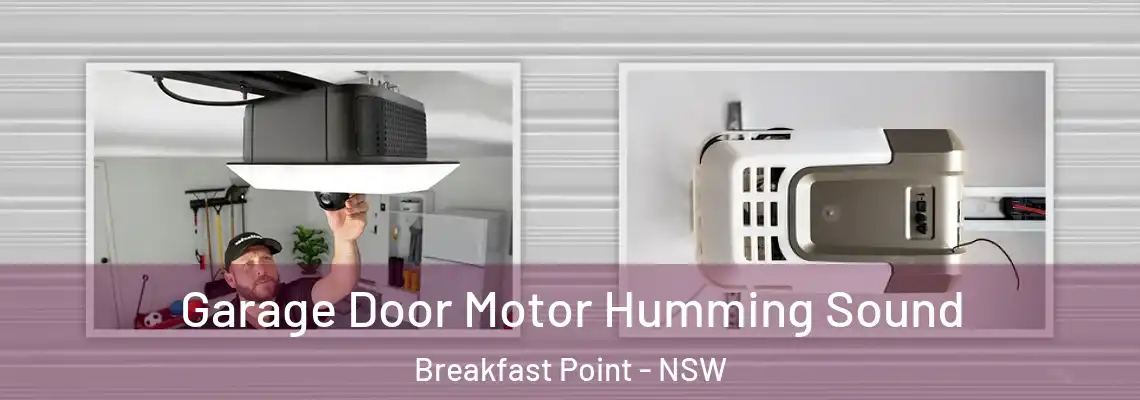 Garage Door Motor Humming Sound Breakfast Point - NSW