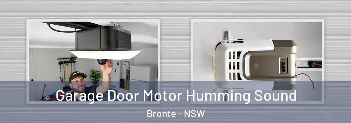 Garage Door Motor Humming Sound Bronte - NSW