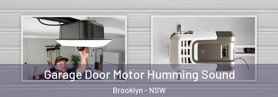 Garage Door Motor Humming Sound Brooklyn - NSW
