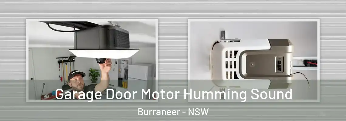 Garage Door Motor Humming Sound Burraneer - NSW