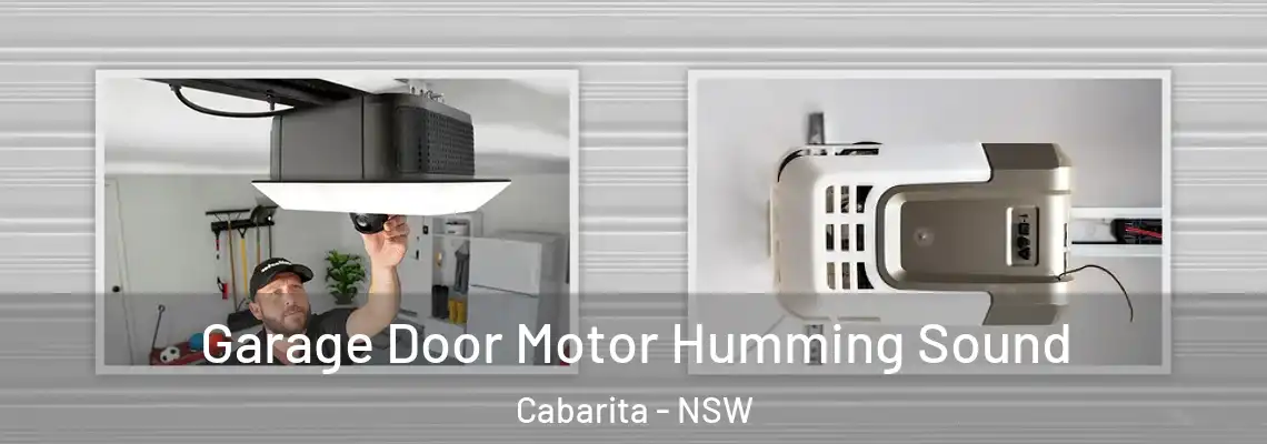 Garage Door Motor Humming Sound Cabarita - NSW