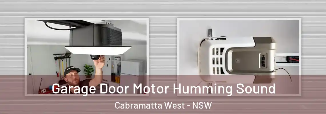 Garage Door Motor Humming Sound Cabramatta West - NSW