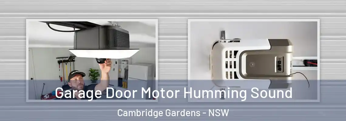 Garage Door Motor Humming Sound Cambridge Gardens - NSW