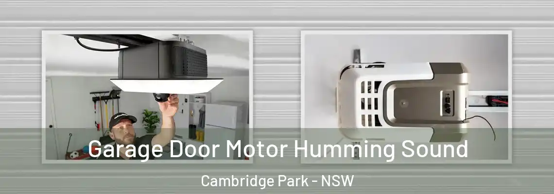 Garage Door Motor Humming Sound Cambridge Park - NSW