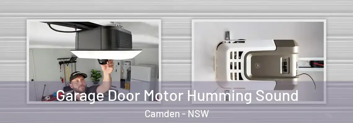 Garage Door Motor Humming Sound Camden - NSW