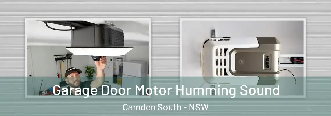 Garage Door Motor Humming Sound Camden South - NSW