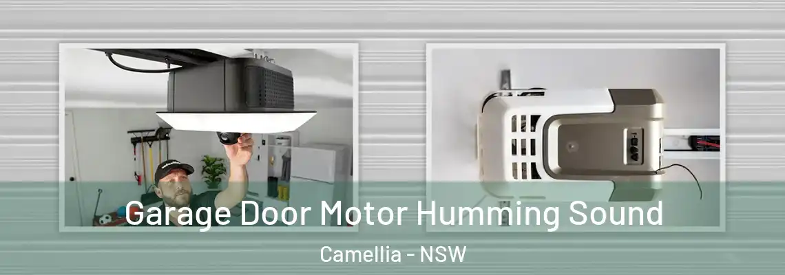 Garage Door Motor Humming Sound Camellia - NSW