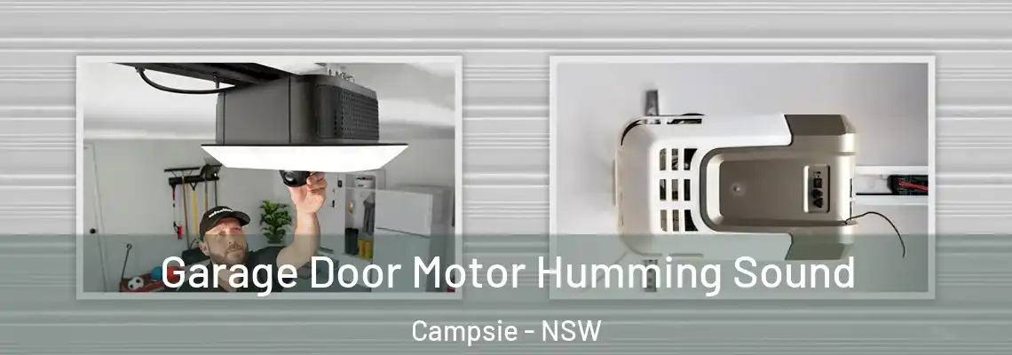 Garage Door Motor Humming Sound Campsie - NSW
