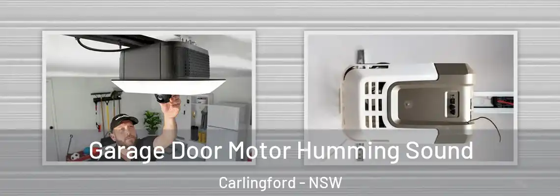 Garage Door Motor Humming Sound Carlingford - NSW