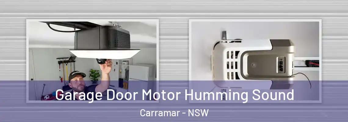 Garage Door Motor Humming Sound Carramar - NSW