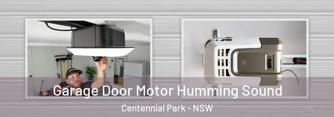 Garage Door Motor Humming Sound Centennial Park - NSW