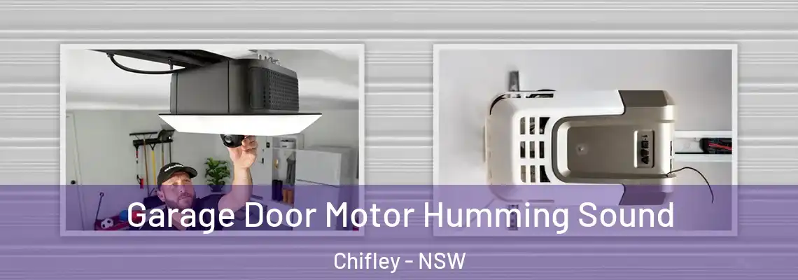 Garage Door Motor Humming Sound Chifley - NSW