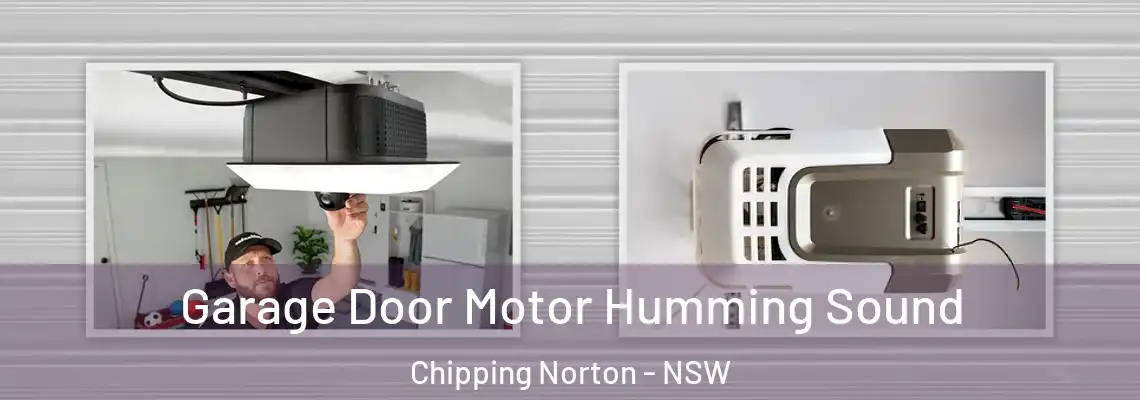 Garage Door Motor Humming Sound Chipping Norton - NSW
