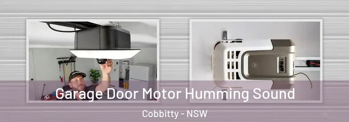 Garage Door Motor Humming Sound Cobbitty - NSW