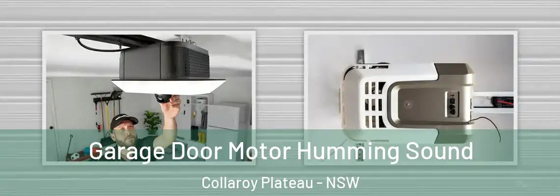 Garage Door Motor Humming Sound Collaroy Plateau - NSW