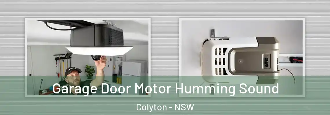 Garage Door Motor Humming Sound Colyton - NSW