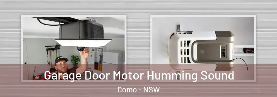 Garage Door Motor Humming Sound Como - NSW