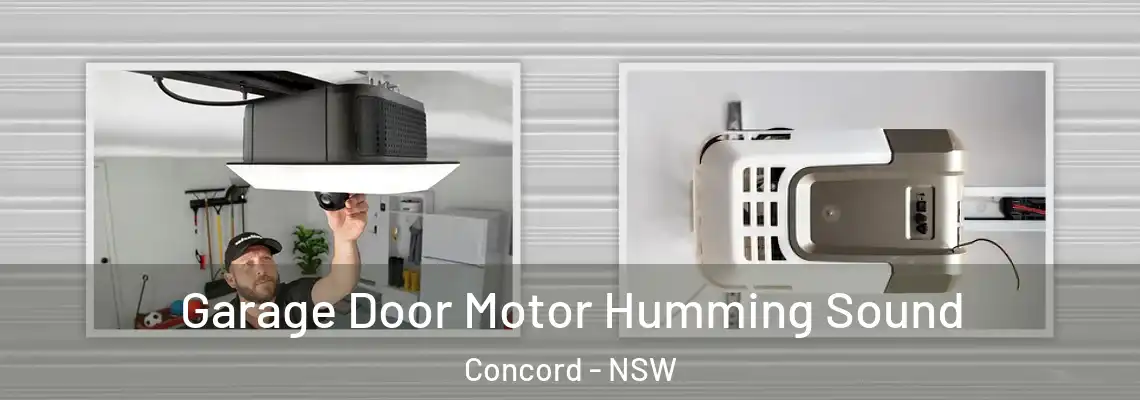 Garage Door Motor Humming Sound Concord - NSW