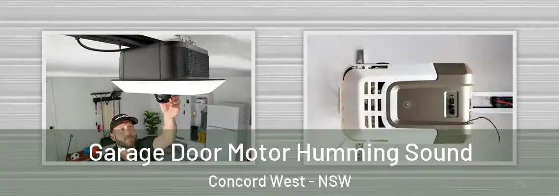 Garage Door Motor Humming Sound Concord West - NSW