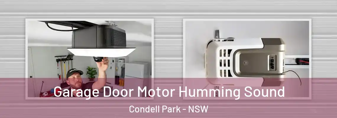 Garage Door Motor Humming Sound Condell Park - NSW