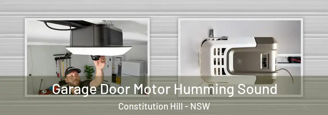 Garage Door Motor Humming Sound Constitution Hill - NSW