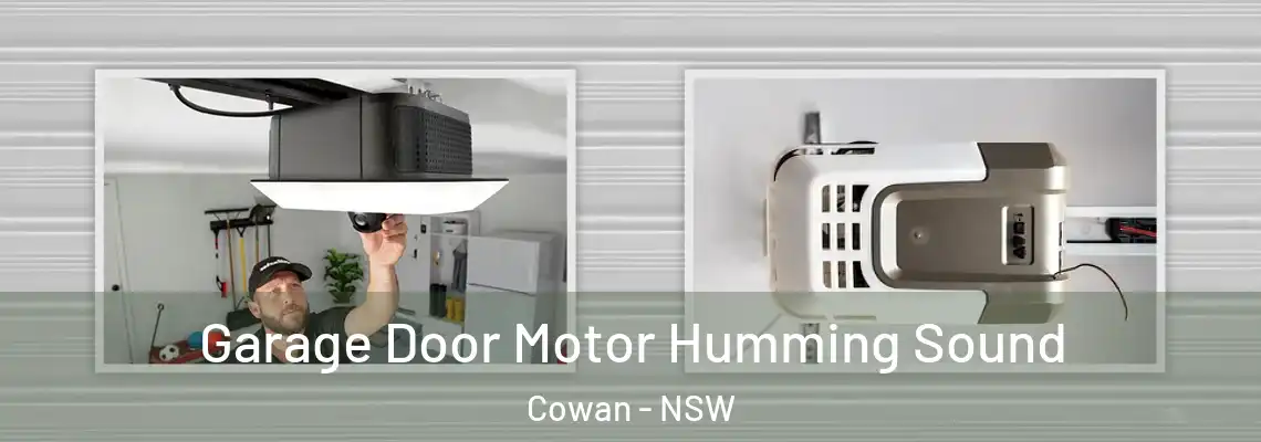 Garage Door Motor Humming Sound Cowan - NSW