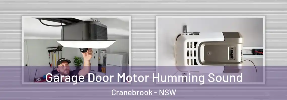 Garage Door Motor Humming Sound Cranebrook - NSW