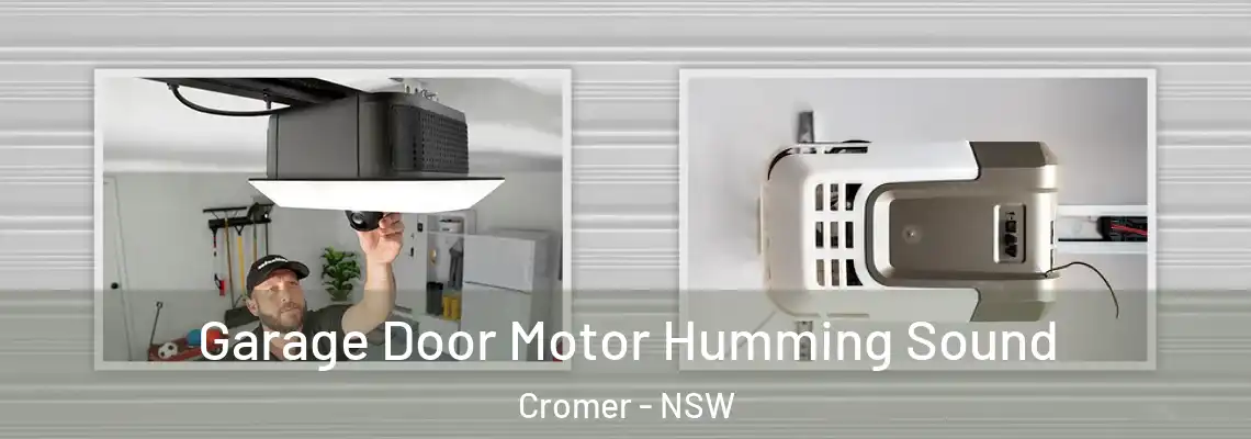 Garage Door Motor Humming Sound Cromer - NSW