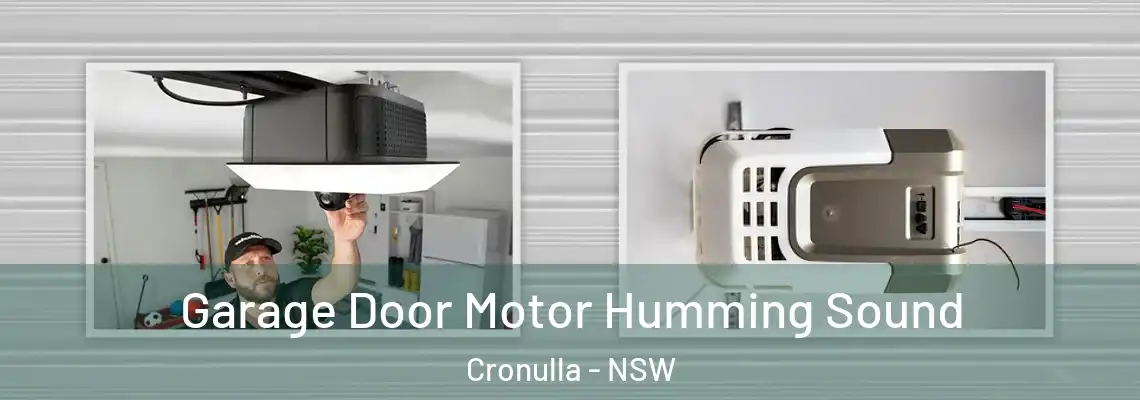 Garage Door Motor Humming Sound Cronulla - NSW