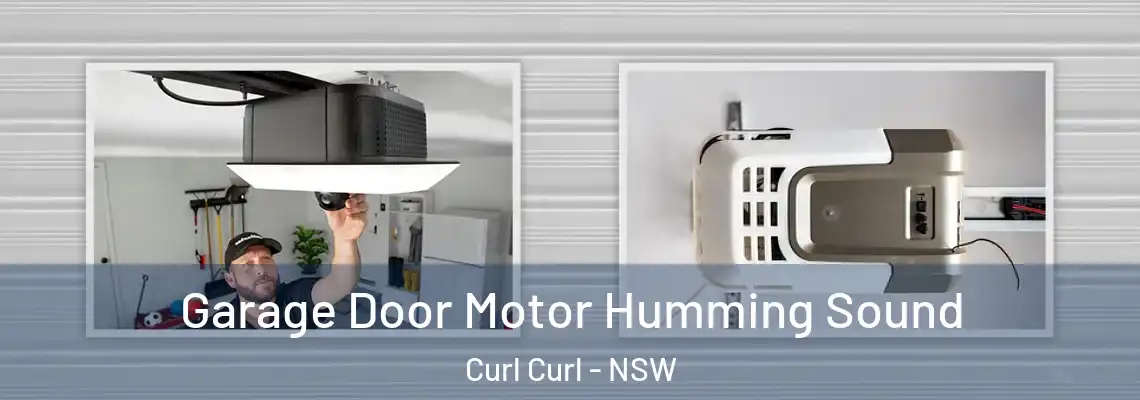 Garage Door Motor Humming Sound Curl Curl - NSW