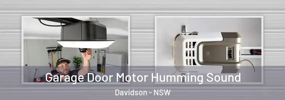 Garage Door Motor Humming Sound Davidson - NSW