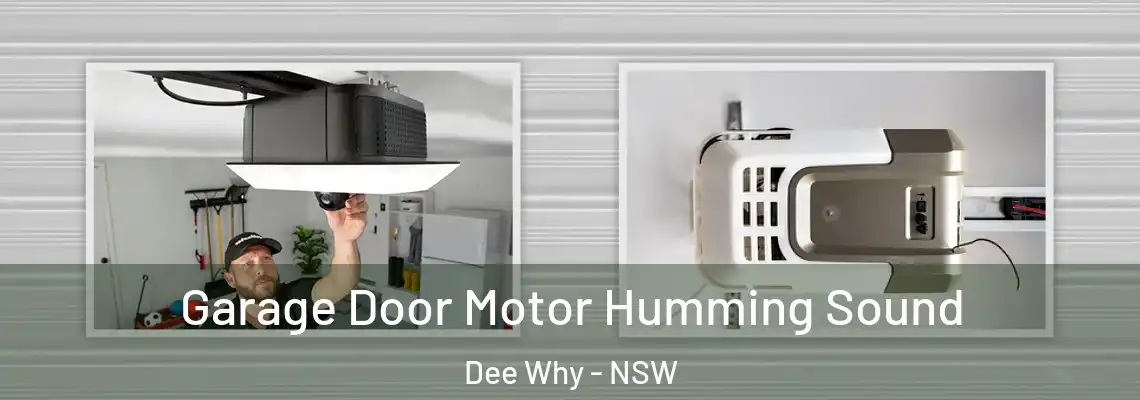 Garage Door Motor Humming Sound Dee Why - NSW