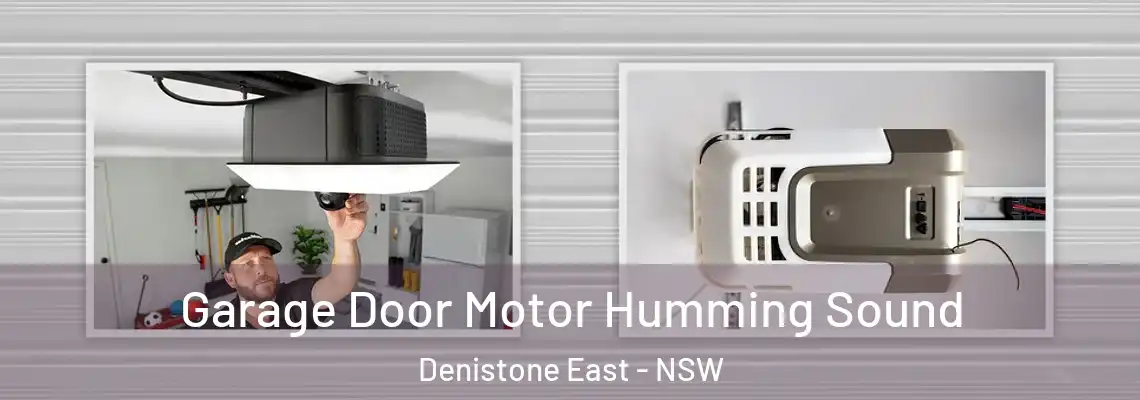 Garage Door Motor Humming Sound Denistone East - NSW