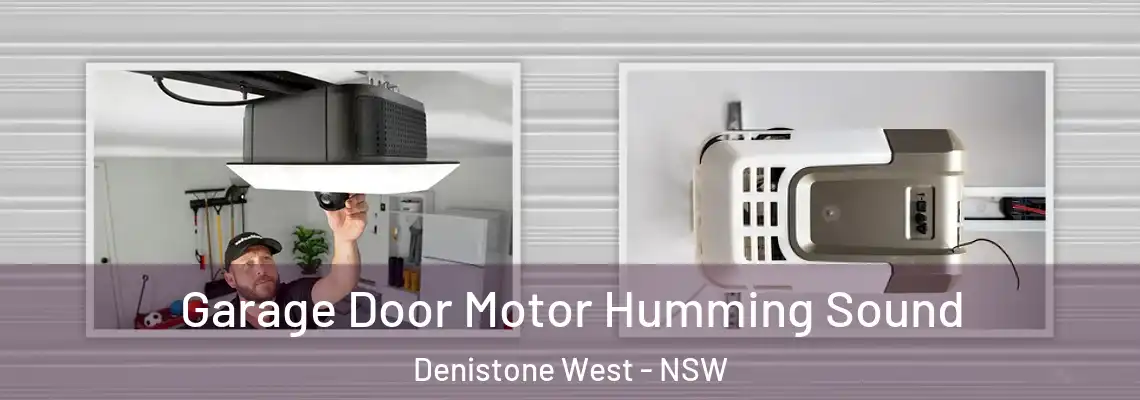 Garage Door Motor Humming Sound Denistone West - NSW