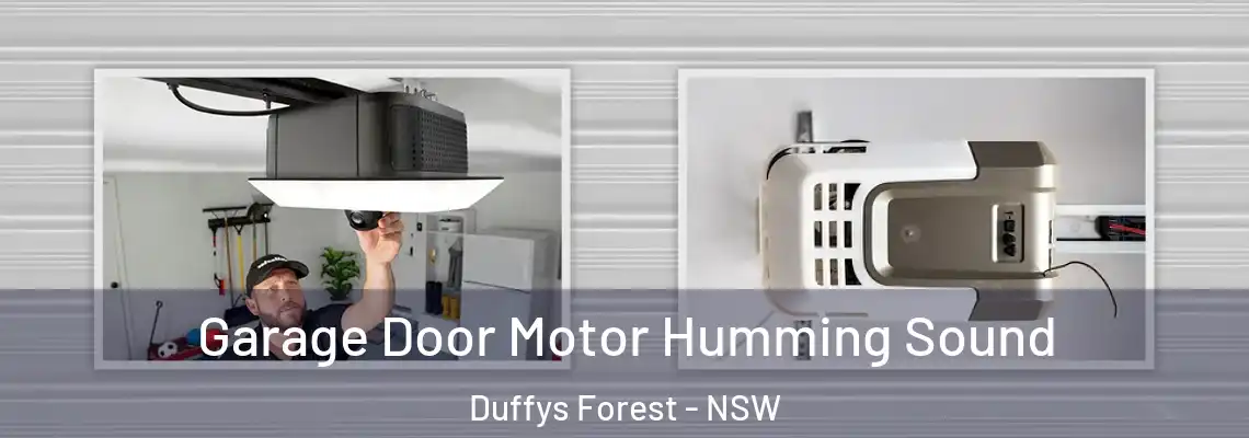 Garage Door Motor Humming Sound Duffys Forest - NSW