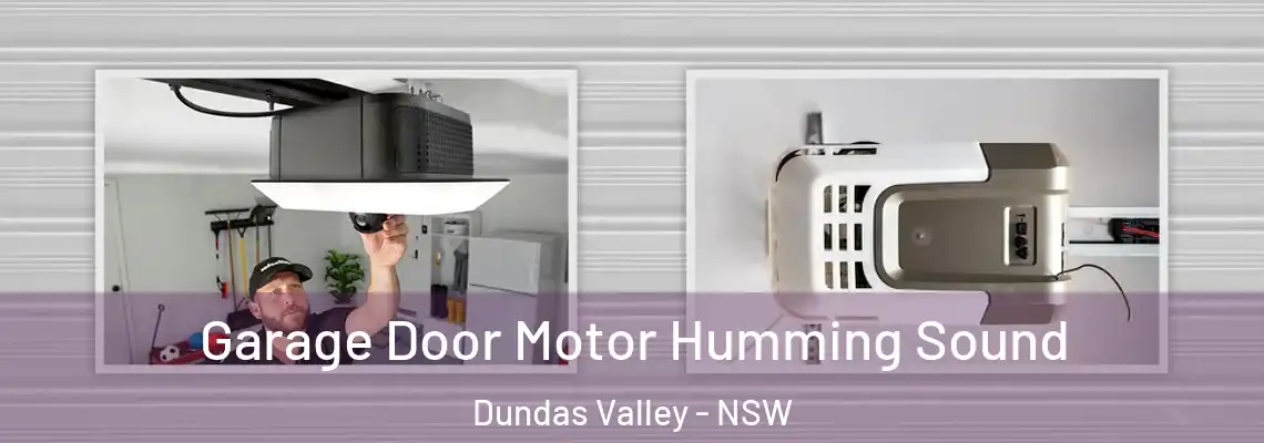 Garage Door Motor Humming Sound Dundas Valley - NSW