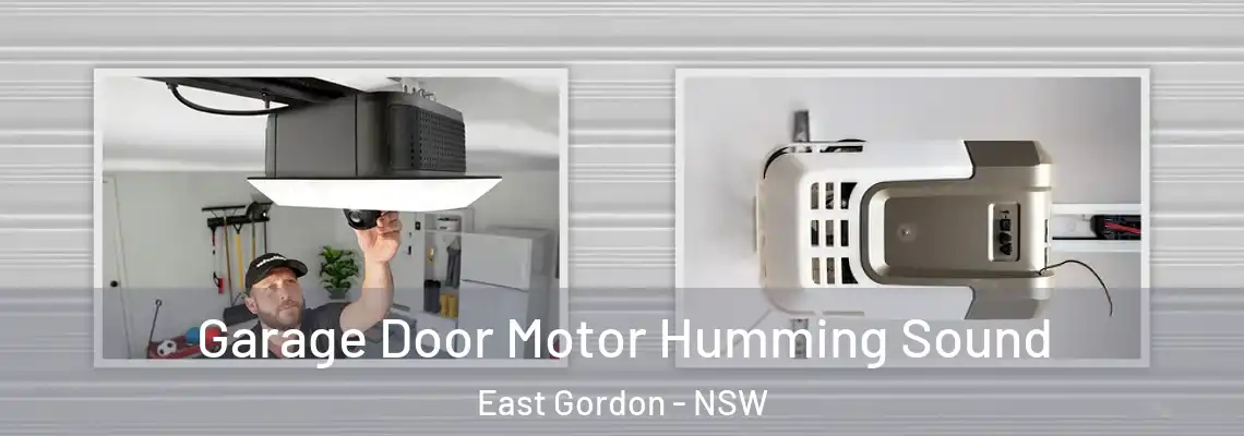 Garage Door Motor Humming Sound East Gordon - NSW